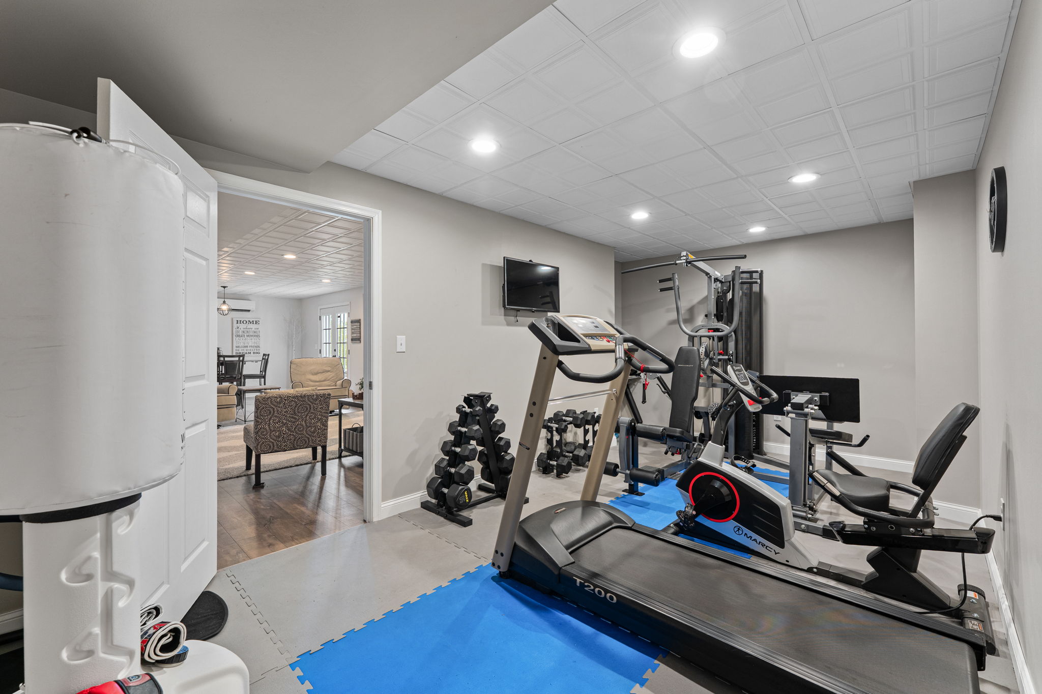 Home Gym in Basement