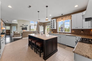 Gourmet Kitchen with Center Island