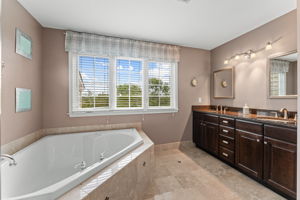 Gorgeous Master Bathroom