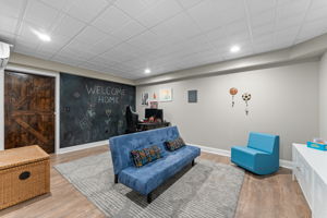 Gaming Room in Basement