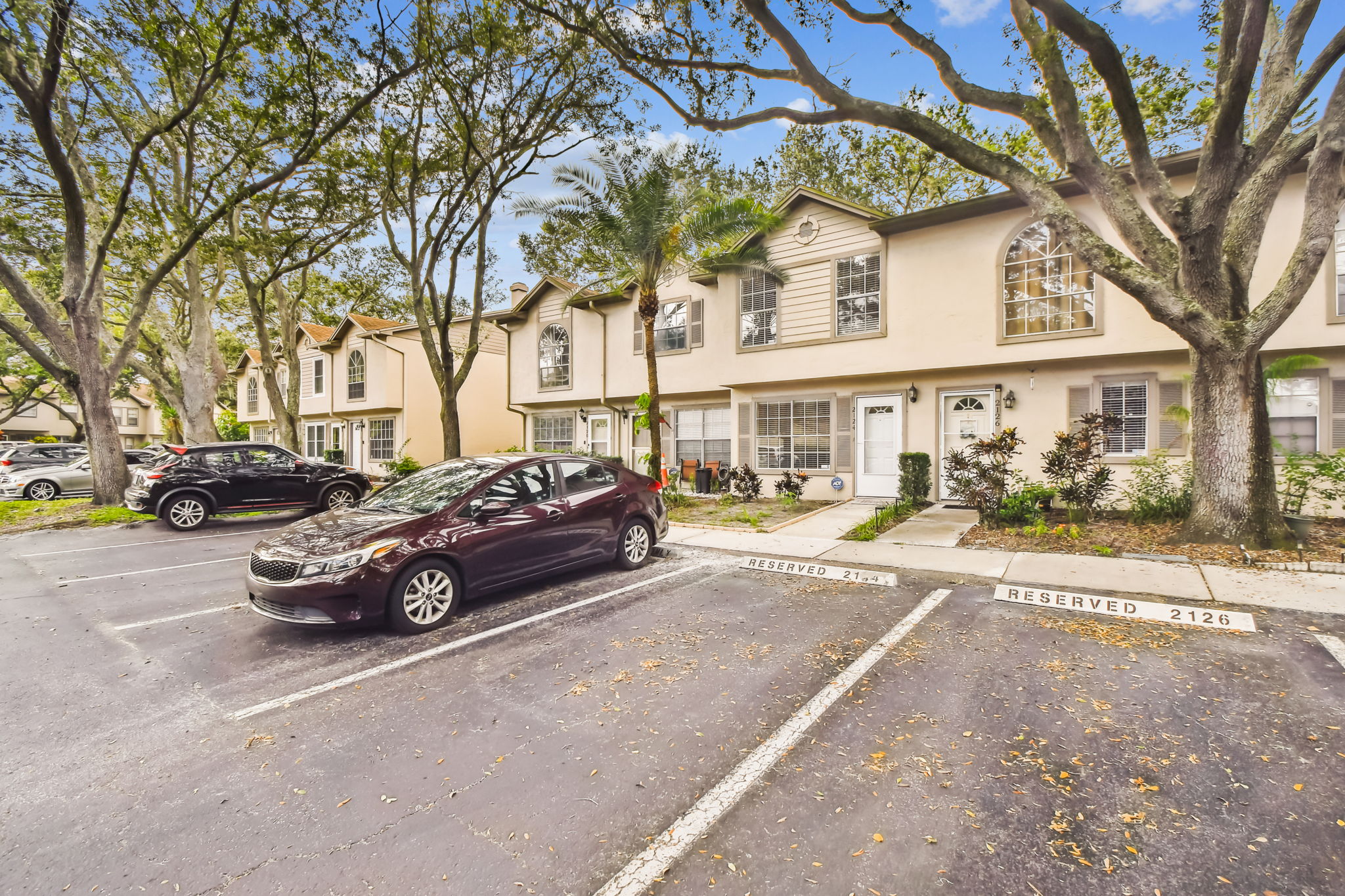 DSC_4453