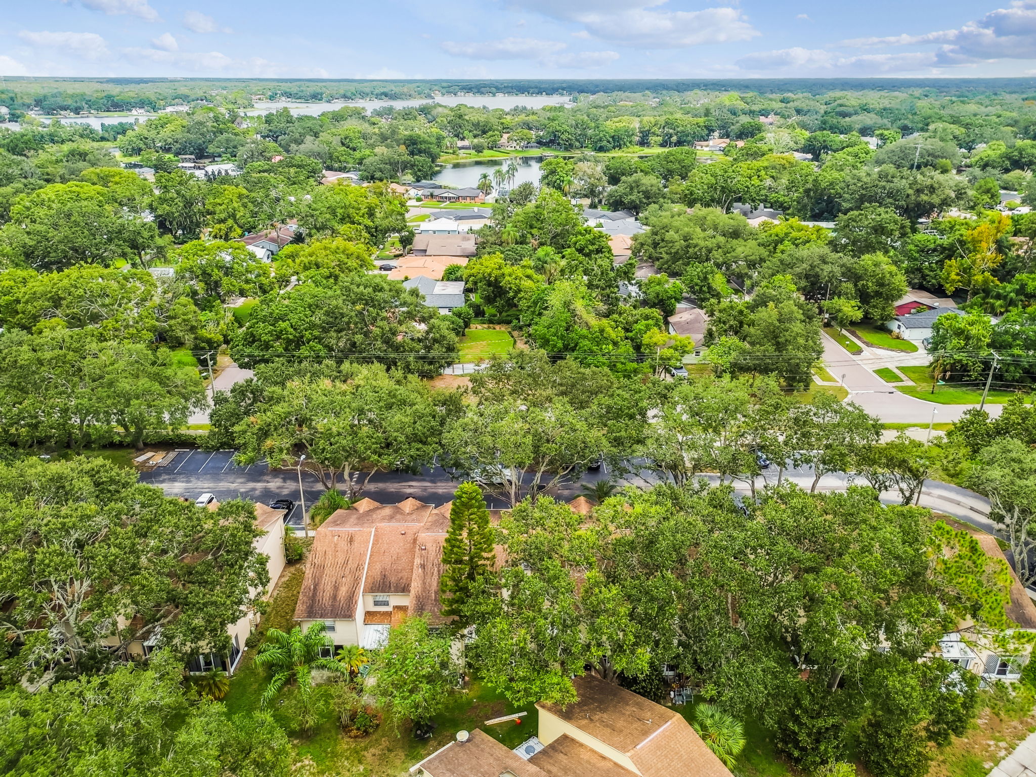 DJI_0161