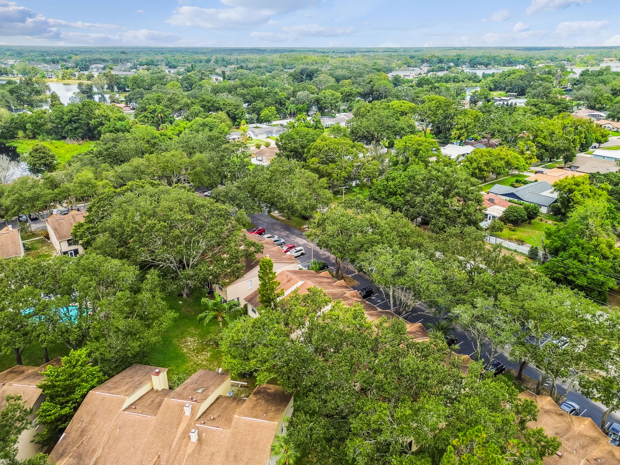 DJI_0164