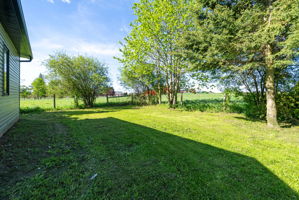  Photo 48