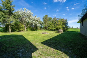  Photo 50