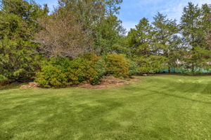  Photo 141