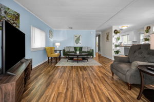 Living Room1