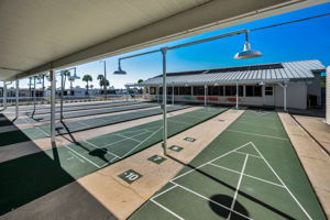 29-Shuffleboard