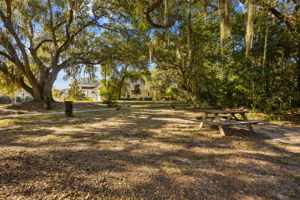 Shell Cove