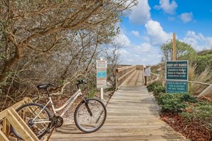 Beach Wood