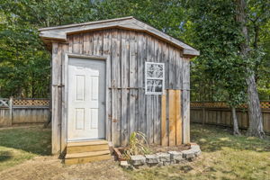  Photo 41