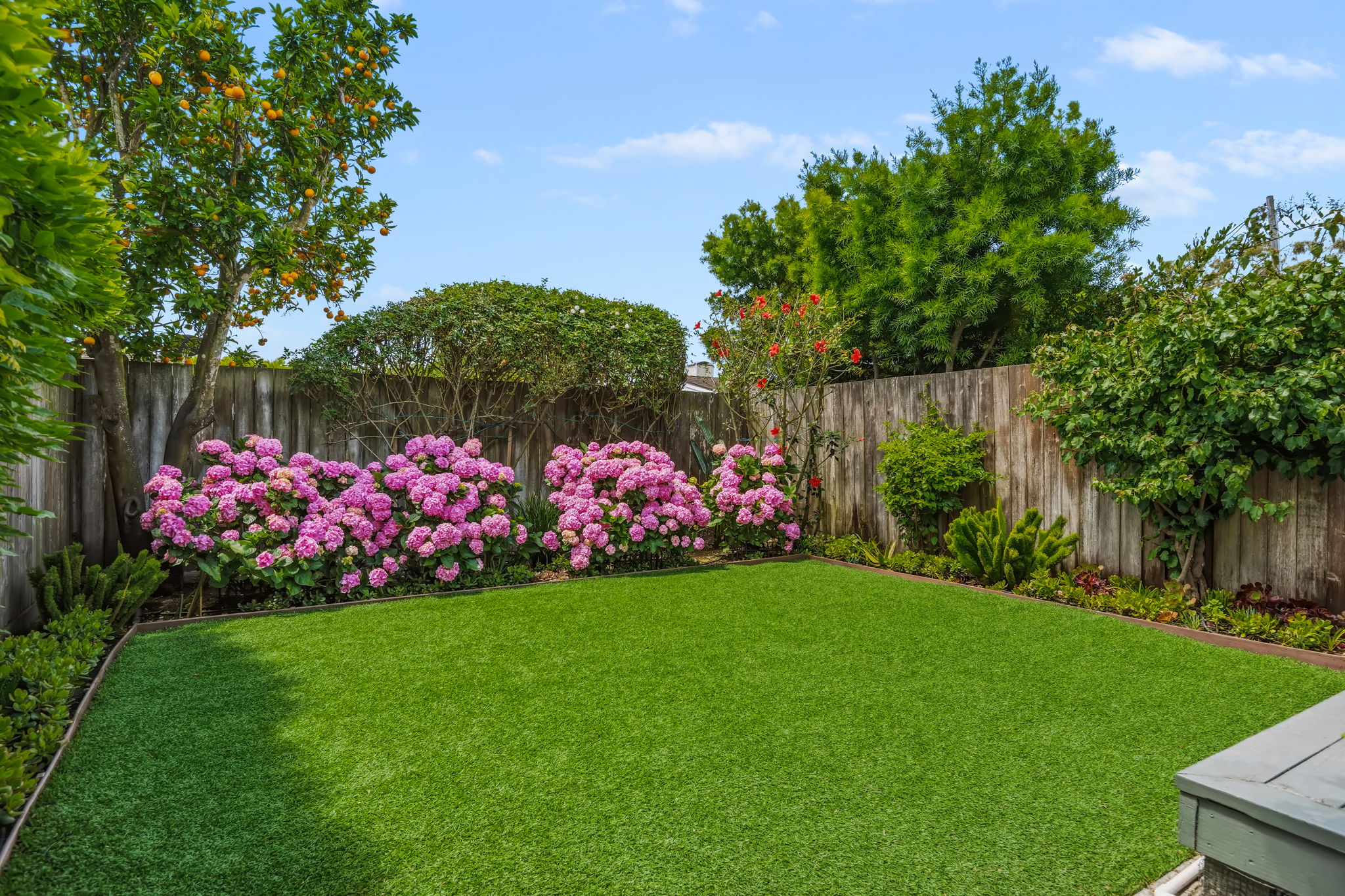 24-Back Yard