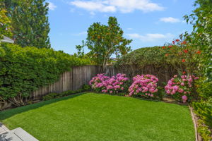 23-Back Yard