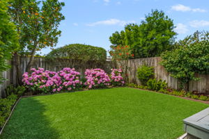 24-Back Yard