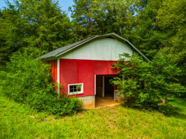  Photo 41