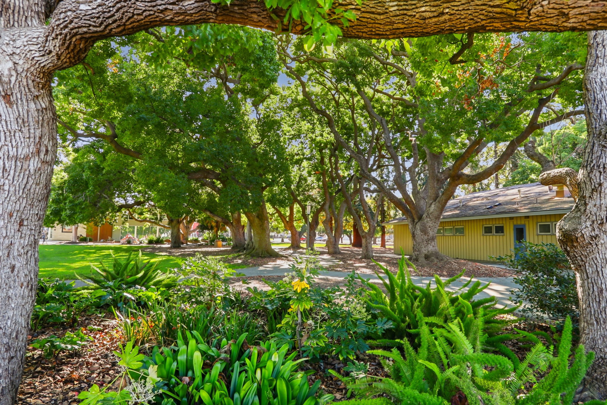 034_F8_213 Clarence Ave