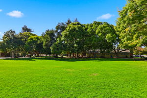 035_F8_213 Clarence Ave