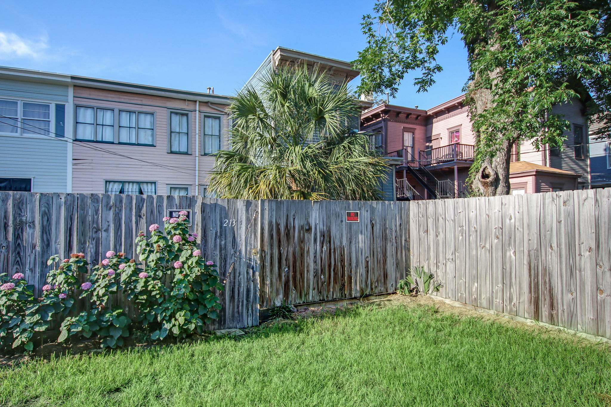 Backyard