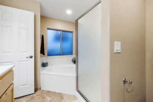 Prrimary Bathroom (2)
