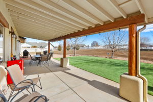 Back Patio (1)