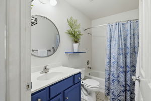 Hall Bathroom