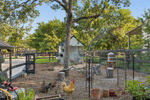213Shenandoah_031