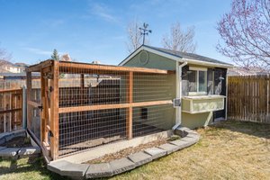 Chicken Coop