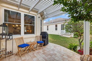 Rear Patio and Pergola
