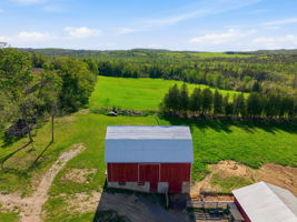  Photo 393
