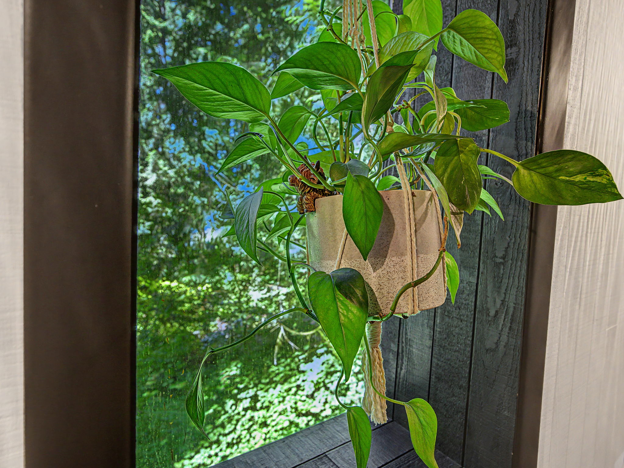  Photo 49