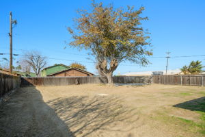 Back Yard