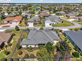 Aerial Rear Elevation with Privacy Landscaping and Property Lines