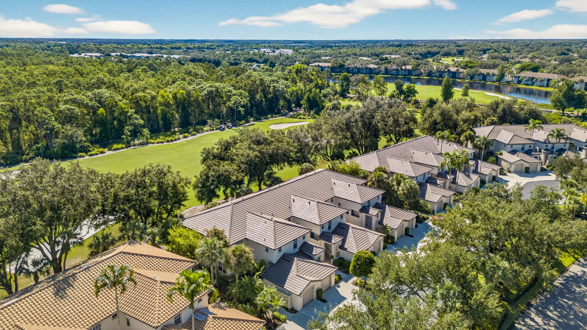 Aerial Front Exterior 4