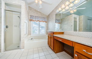 Lower Level Master Bathroom 1b