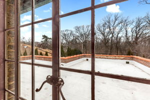 Views of forest preserves