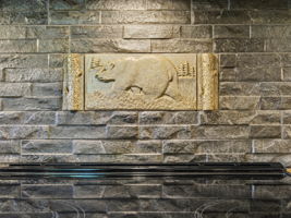  Photo 41