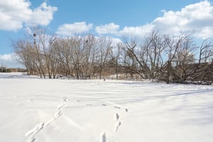 Hytrail Cir-S0302-042.jpg