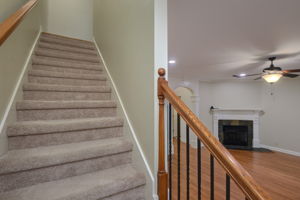  Photo 49