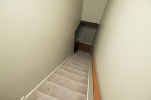  Photo 50