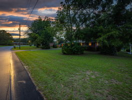  Photo 49