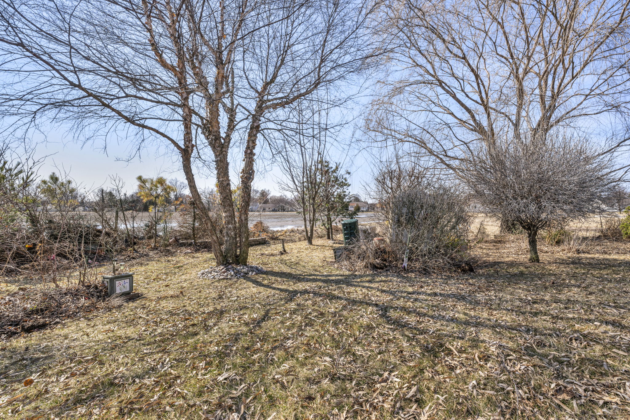  Photo 44
