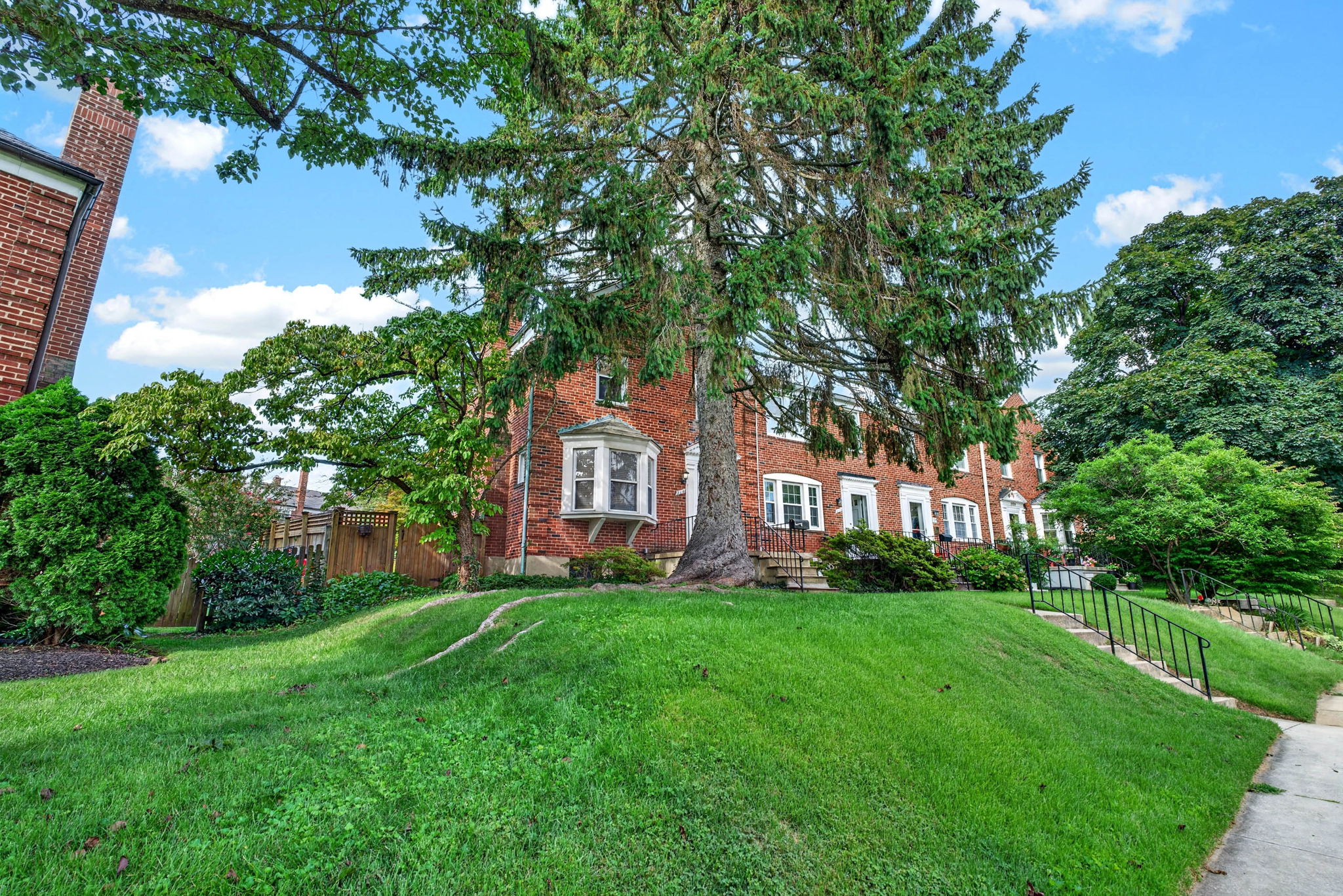 Gaywood 5
