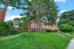 Gaywood 5