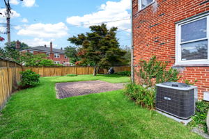 Gaywood 22