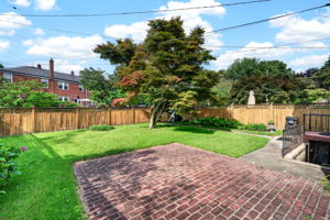 Gaywood 23