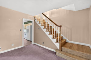 Gaywood 52