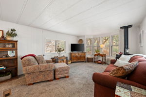 Living Room (1)