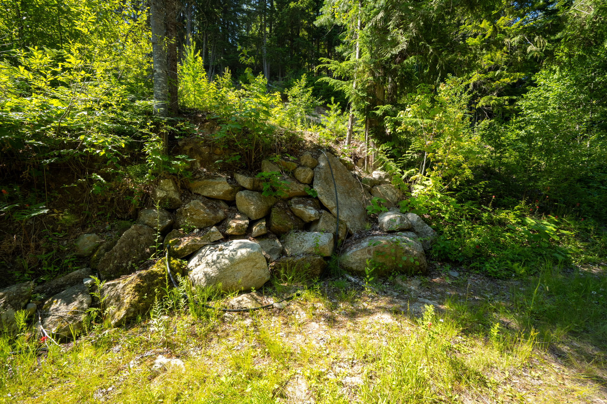  Photo 49