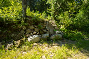  Photo 48