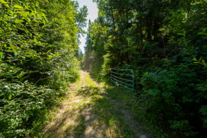  Photo 50
